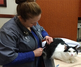 Preventative Care in Darien