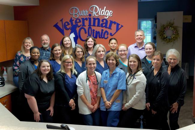 Veterinary clinic in [practice:city]