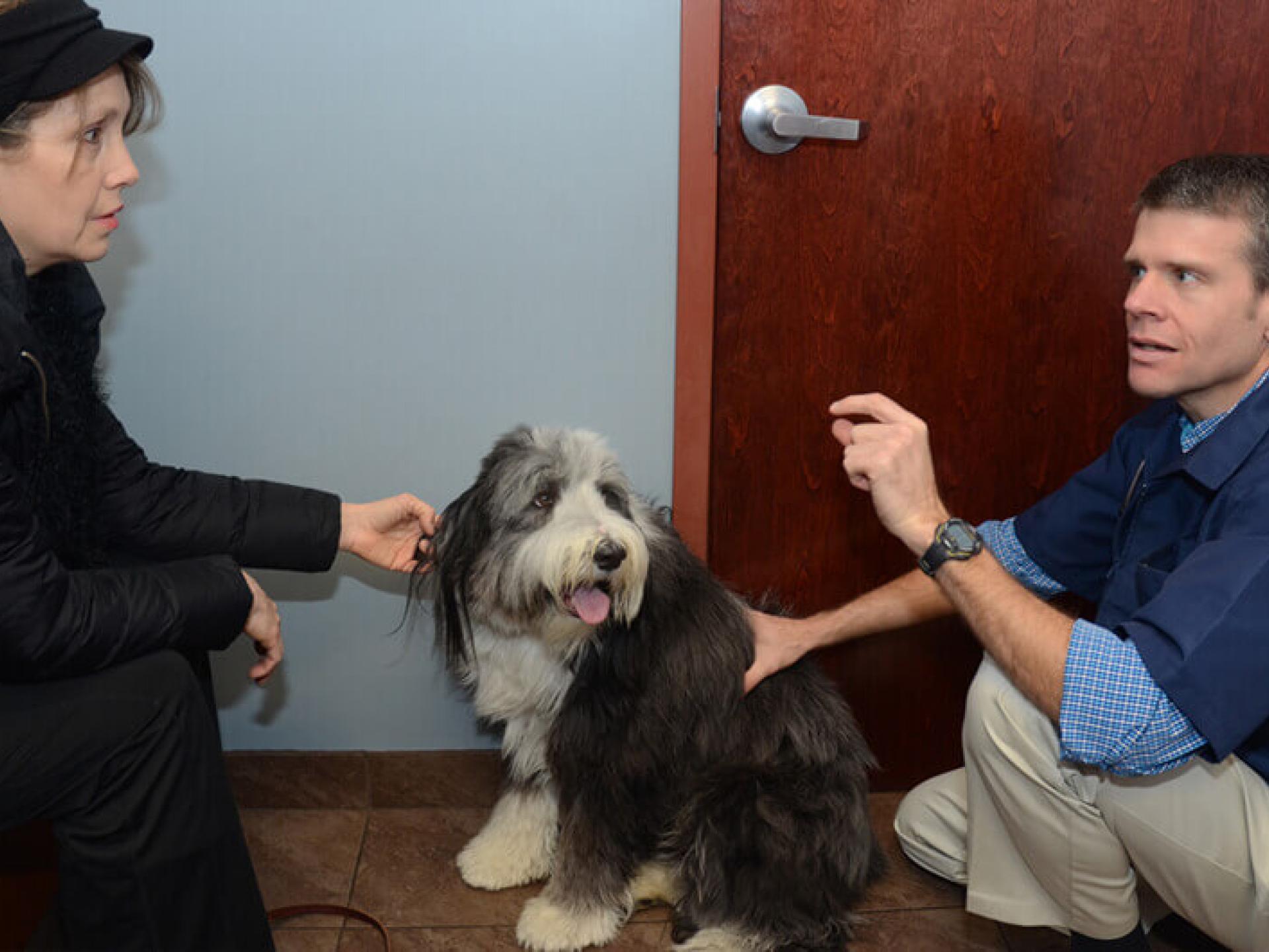 Dr. Palmer Burr Ridge Veterinary Clinic